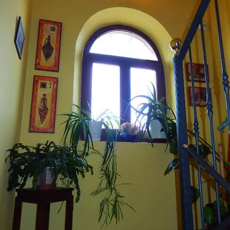 Del Medico Hontoria del Pinar