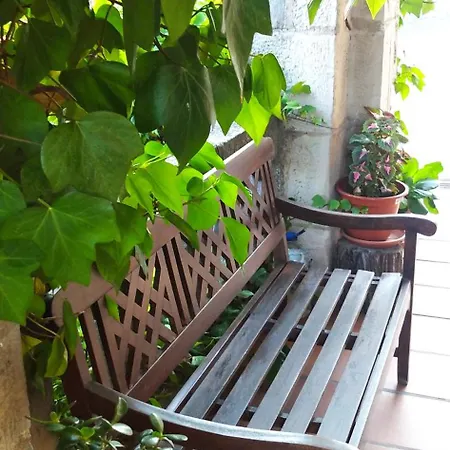 Del Medico Country house Hontoria del Pinar