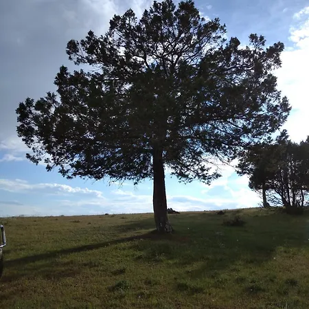 Del Medico Country house