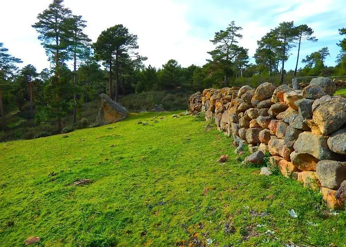 Del Medico Hontoria del Pinar