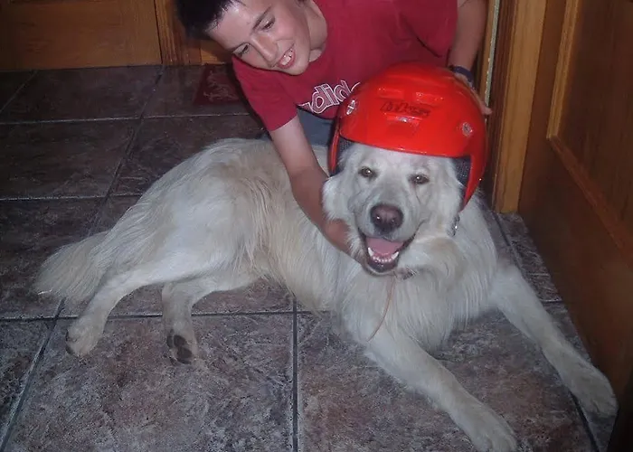 Del Medico カントリーハウス