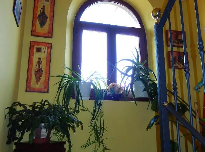 Del Medico Hontoria del Pinar